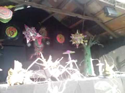 Psycrowdelica 2009 video1