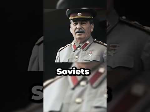 Yugoslavian Passport #funfact  #sovietstories #travel #yugoslavia