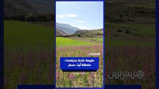 طبيعة خلابة بمرتفعات منطقة آيت حسان بالأطلس المتوسط الشرقي thumbnail