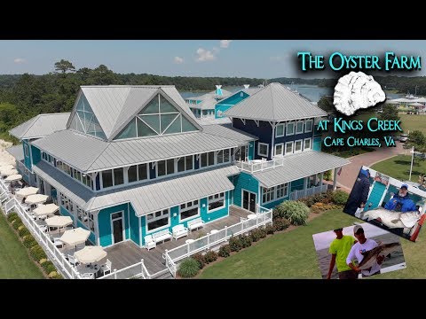 download lagu mp3 mp4 Oyster Farm Virginia, download lagu Oyster Farm Virginia gratis, unduh video klip Oyster Farm Virginia