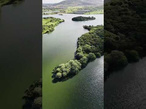AÇUDE JACUÍPE LOCALIZADO NO MUNICÍPIO DE IGACI ALAGOAS 