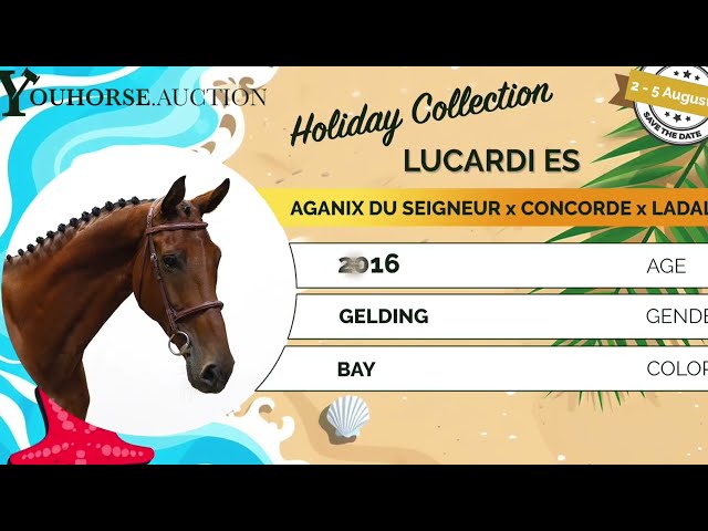 Lucardi trainingsvideo