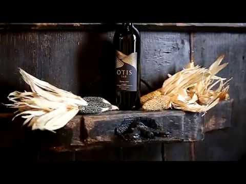 Vox Produções - Promo Vinho Otis Sax