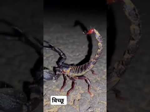 bichi# short video ♥️♥️♥️♥️