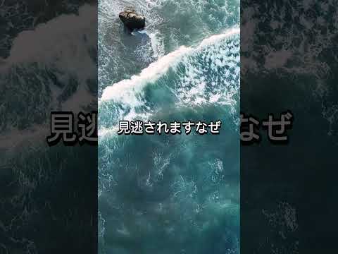 WhatsApp: 大きな弱点はすぐに修正される可能性があります