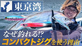 【タチウオジギング】釣果に差が出る！「コンパクトジグ」が効く理由/ 吉岡進