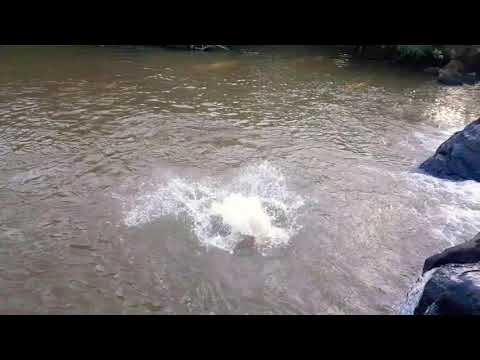 Misiones, salto Carpes, Florentino Ameghino