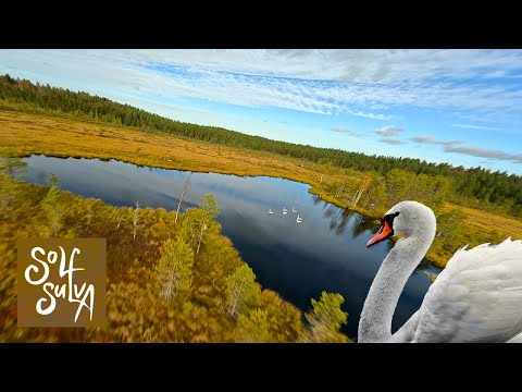 Kivne Potten, Solf [FPV]