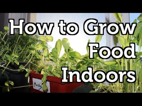 Setting up a Basic Indoor Grow Room