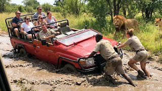 Safari Trips Went Horribly Wrong