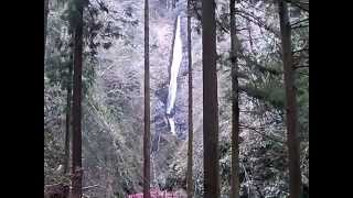 preview picture of video '洒水の滝Beautiful waterfall of Yamakita town located in the Kanagawa Prefecture of Japan Shasuinotaki'