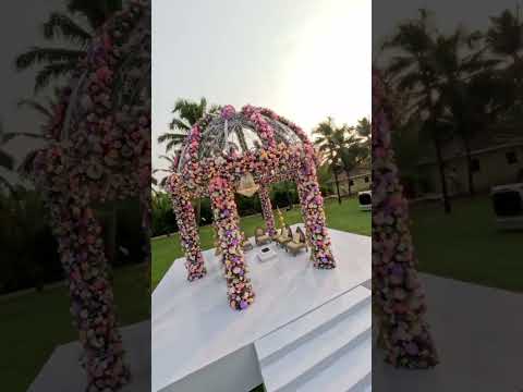 Upasana & Aarjav - The Wedding dream in Goa