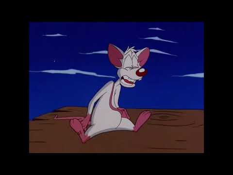 Pinky & Brain Origami Ende