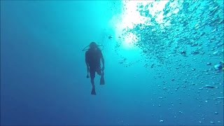 preview picture of video '100 Feet dive. Scuba diving - Jamaica Montego bay.'