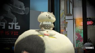 テスト配信