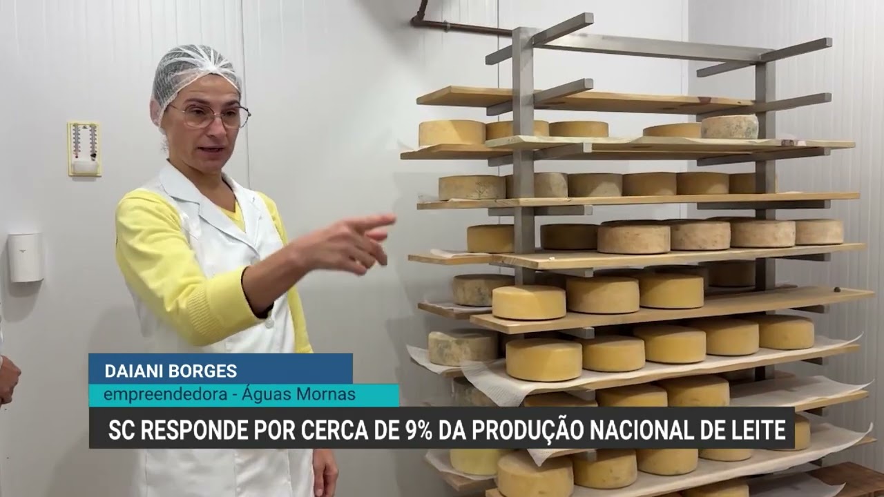 Indústria de laticínios cresce em Santa Catarina e impulsiona queijarias artesanais