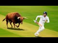 Top 15 Animal Invasions In Cricket That Stopped Play Instantly