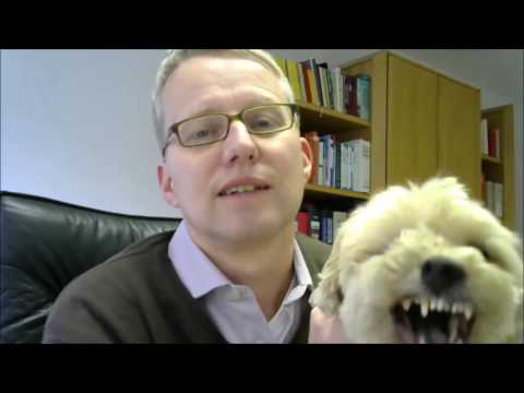 Arbeitsrecht in 60 Sek. - Hunde am Arbeitsplatz