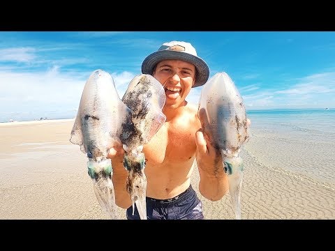CATCH OUR OWN FOOD! Surviving from the Ocean - Calamari Catch n Cook