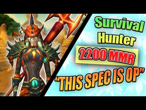 Survival Hunter 2v2 | 2200 MMR | PREPATCH This spec is OP!