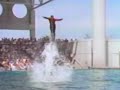 80s Ads Sea World 1987 Betamax Restoration