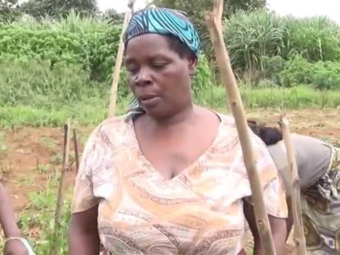 Treasures from Trash