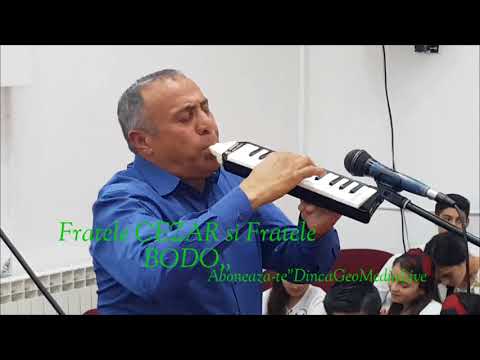 Bodo & Cezar - Esti trandafirul din sharon..LIVE ..Nou 2018