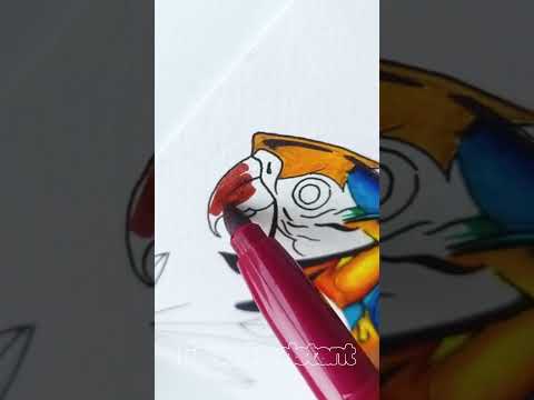 Vibrant Creations: Jumbo Fibre Colouring Felt Tip Pens