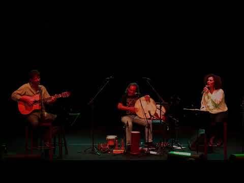 Avenida samba canção 5min