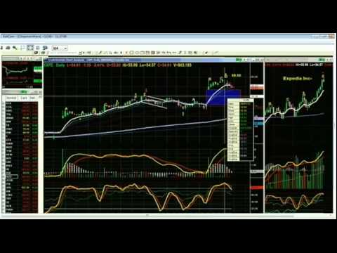 August 10th Tiger Technicians Hour with Basil Chapman