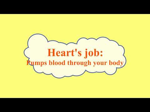 Unit 1_1.2 The heart (Stage 6)