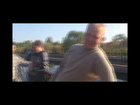 Трейлеры Живот