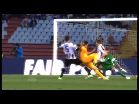 Hellas Verona - Stagione 2013/2014