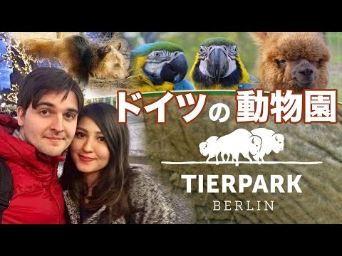 ベルリン動物園 - 定義