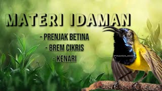 Download lagu Full Masteran Sogon Kombinasi Prenjak–Ciblek–Kenari, Dijamin materi idaman #sogongacor #sogon  mp3