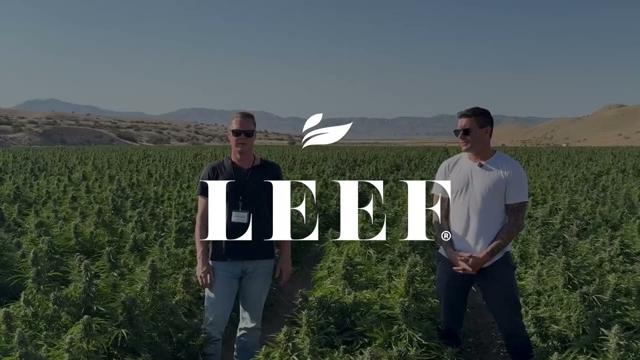 LEEF Brands’ Spring 2025 Update: Scaling Cultivation, Cutting Costs ...
