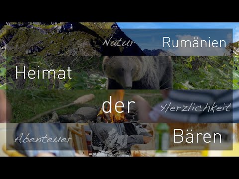 Rumänien - Heimat der Bären Teil 1: Die Transalpina