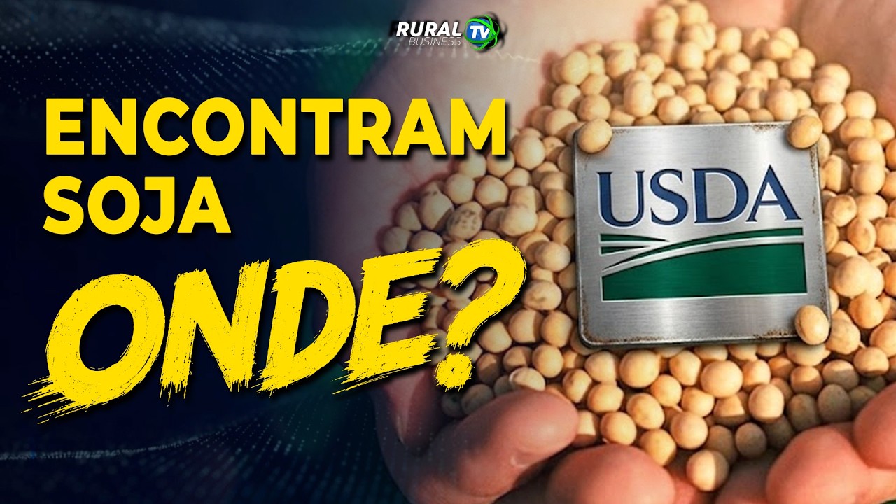 ENCONTRARAM SOJA ONDE?