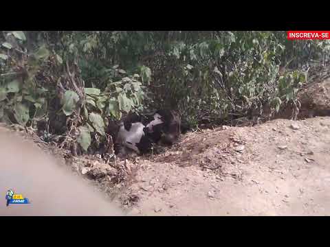 VOLTANDO DA PARAÍBA CIDADE DE POÇO DANTA