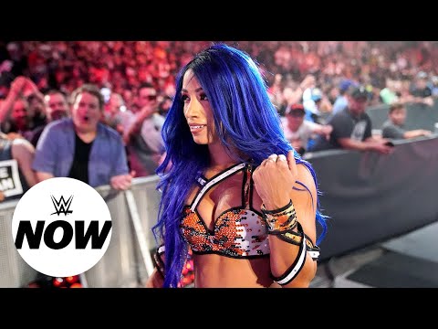 Fight Size Update: Austin Comments On MSG, Fenix Update, WWE Superstars And Dogs, More