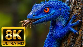 🌈 COLORFUL WILDLIFE 8K (60FPS) ULTRA HD – Vibrant Beauty of Nature