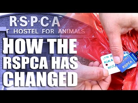 How the RSPCA has changed