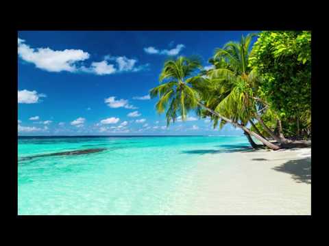 Sonic Palms - On the beach [ 1 hour ]