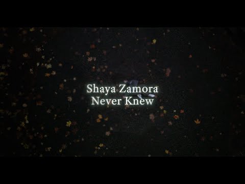 Shaya Zamora - Never Knew [Lyric Video]