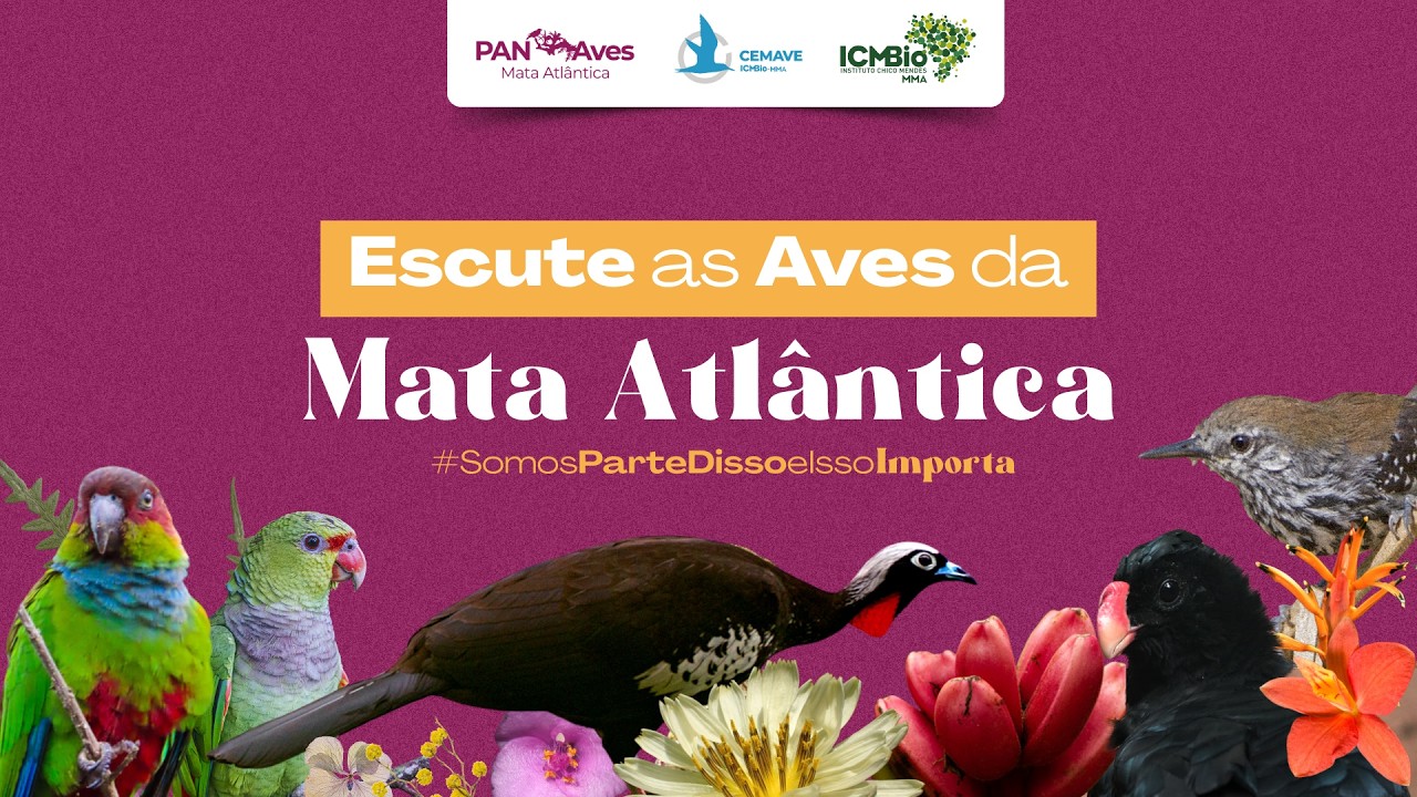 Escute as Aves da Mata Atlântica