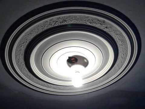 comment poser rosace plafond