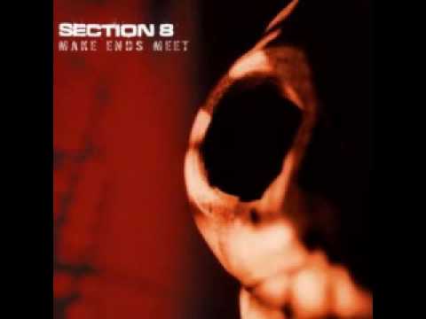 section 8 - who are u to blame