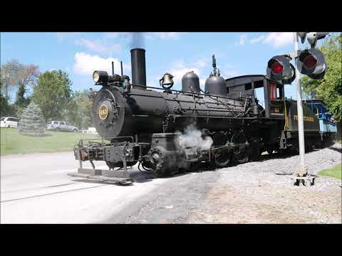 All Aboard! Steam Locomotive Fun in Williams Grove
