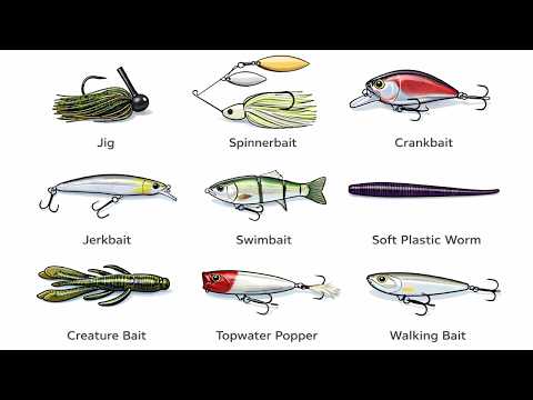 EVERY Fishing Lure,  Explained!