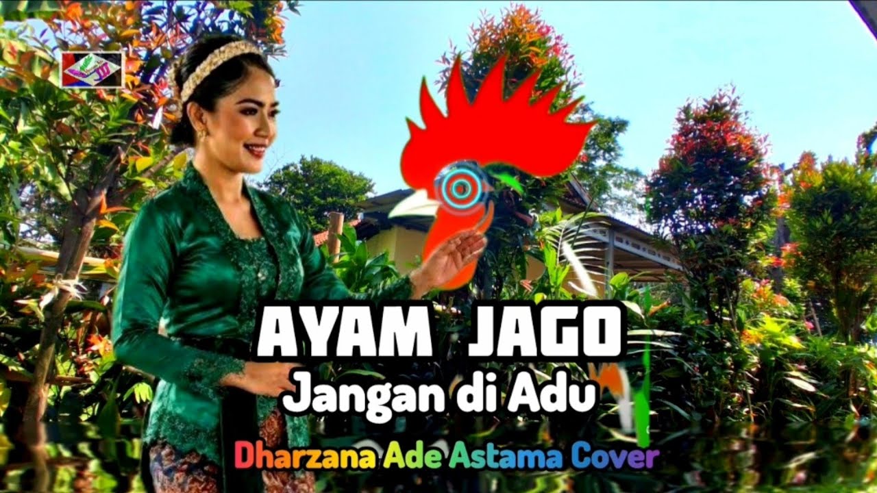Ayam Jago Jangan di Adu - Dharzana Ade Astama Cover Lagu Aida Saskia - Mega Mustika